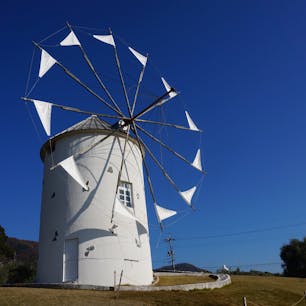 小豆島 オリーブ園
オリーブ 大好き❤