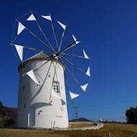 小豆島 オリーブ園
オリーブ 大好き❤