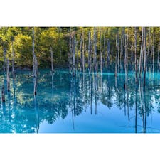 美瑛・青い池。
完璧なリフレクションを見たければ、風が凪いでいる早朝に行くのが良いです。ただし、高確率で池の上に落ち葉が浮いています。

何時の青い池がベストか、美瑛の写真家たちとお酒飲みながらワイワイやってたのもいい思い出。