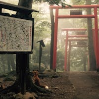 宮城県 白石 キツネ村
