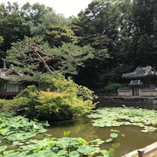 韓国ソウルにあるチャンドックン。