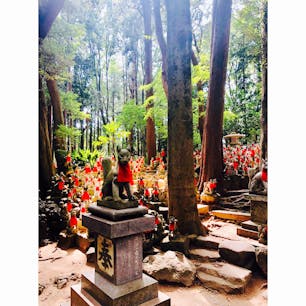 豊川稲荷のお狐さん