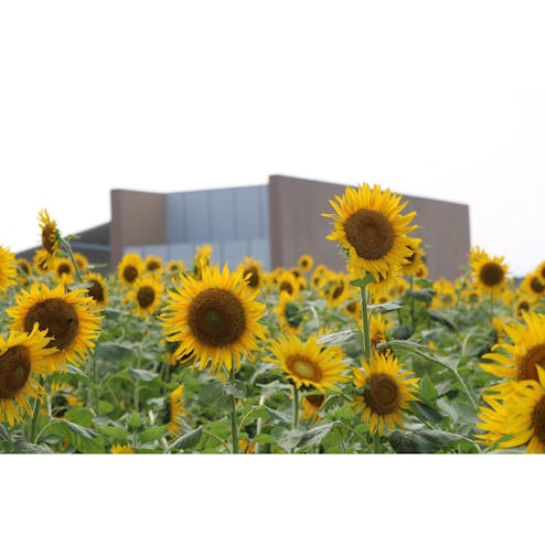 浜名湖ガーデンパーク