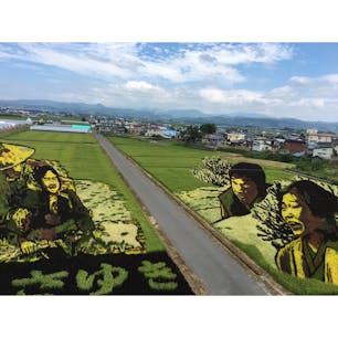 青森県 田舎館村 田んぼアート おしん