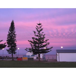 📍シドニー Coogee beach
私が約1年住んでたところ。シドニーで一番大好きな場所。加工なしでこの空の色...！