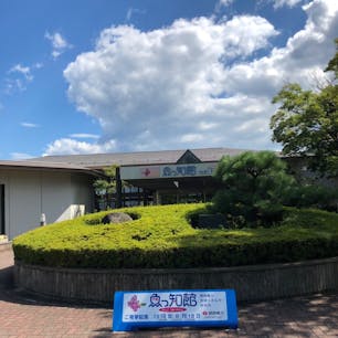 丹後 魚っ知館
ドクターフィッシュがいました。
大人  300円。