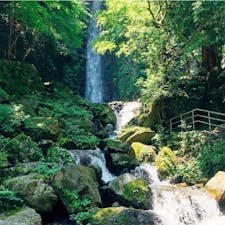 #養老の滝 #養老 #岐阜
2018年7月

この名前、居酒屋しか思い出さない🍺笑

ウォーキングの会的な団体さんがたくさんいて
若い人めずらしいわねっていっぱい声かけてくれた🚶‍♂️🚶‍♂️