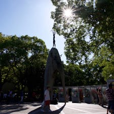 外国の方達も多く、改めて、平和である事および戦争の愚かさを実感できる貴重な場。恒久平和を切に願います。