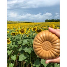 宮城県大崎市
ひまわりの丘
広大な土地に
47万本のひまわり🌻
圧巻でした。

写真は、
ひまわり愛すちゃん
売店で購入💛
ネーミングが可愛いですよね
ひまわり種を
原料に使ってある
香ばしい香りのアイス
美味しいアイス最中🍨