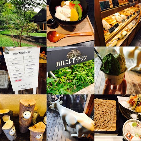 ハルニレテラス