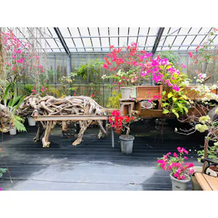 由布島
ブーゲンビレア・ガーデン