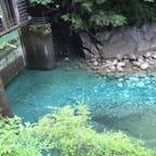 神奈川の秘境。気軽な気持ちで行ったらわりと遠かった、たくさん歩いたけど行く価値あり。

#ユーシン渓谷
#一切加工なし