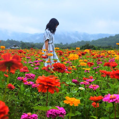 山中湖花の都公園
