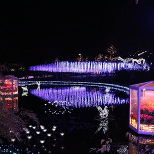 あしかがフラワーパーク