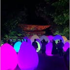 下鴨神社×チームラボ