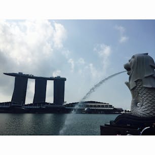 シンガポール🇸🇬