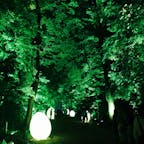 京都 下鴨神社
チームラボとのコラボ