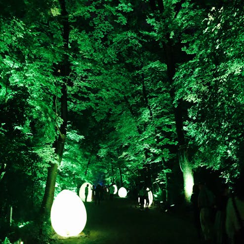 下鴨神社 糺の森の光の祭 Art by teamLab