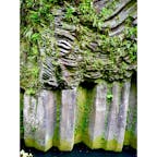 #高千穂峡
#宮崎
#5月
#観光スポット

高千穂峡番外編
この岩壁、すごくないですか…
惹かれました。
自然の力、圧巻です。
