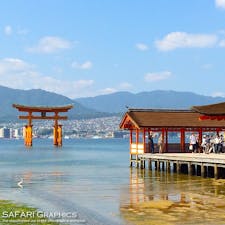 人と神々が共に生きる島・宮島の世界遺産「厳島神社」。日本が誇る世界遺産らしい、堂々たる勇姿は一生に一度は訪れたい観光スポットです。#広島 #宮島 #厳島神社