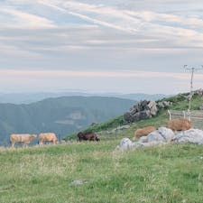 #愛媛#高知#四国カルスト