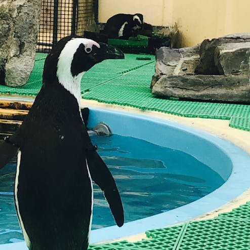 名古屋港水族館