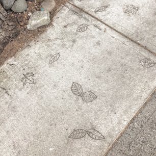 #バンクーバー #カナダ
2018年8月

地面にもメープルリーフ🇨🇦