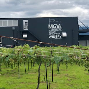 勝沼 マグヴィスワイナリー
黒い外観がかっこいい🍷✨