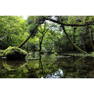 熊本県
〜山吹水源〜