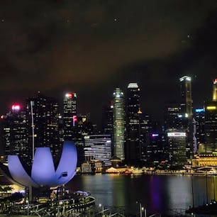 シンガポール🇸🇬
シンガポールフライヤーからの夜景