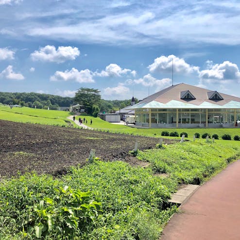 ひるぜんジャージーランド