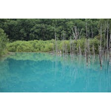 #青い池