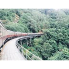 📍ケアンズ キュランダ
世界の車窓から で有名な列車。熱帯雨林の中を走っていく。とってもステキな時間やった。シンガポールからきた親日の家族にも出会えて色々話しながらたのしかったなあ。
