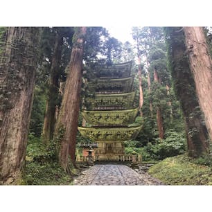 2017.08.19
山形県鶴岡市 国宝【羽黒山五重塔】