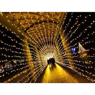 2017.12.23
新潟県長岡市 【越後丘陵公園】