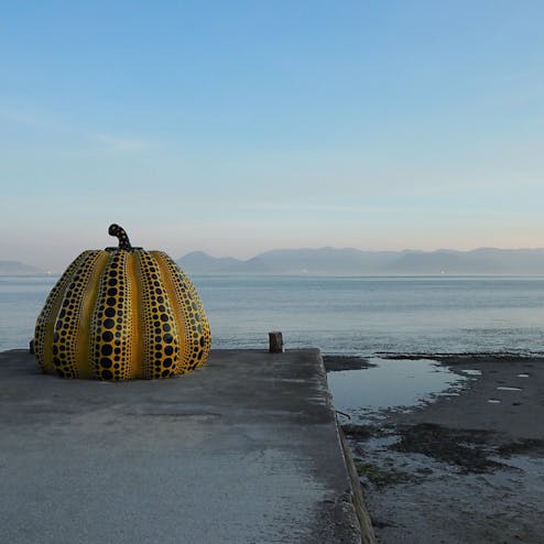 南瓜(黄かぼちゃ)