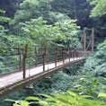 高尾山で見つけた橋。渡るよりこの辺の角度から見るのが私は好ましい。

#高尾山
#変化球ルートでの下山
#たぶん下山
#どのルートだかはもう定かでない