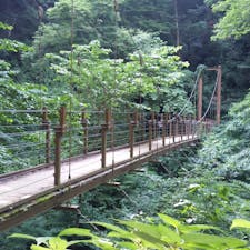 高尾山で見つけた橋。渡るよりこの辺の角度から見るのが私は好ましい。

#高尾山
#変化球ルートでの下山
#たぶん下山
#どのルートだかはもう定かでない