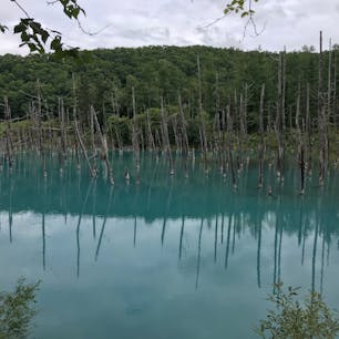 2019年8月
北海道 青い池