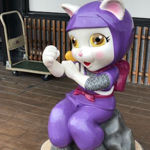 伊賀上野のヌコ忍者
だニャン