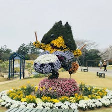 静岡
フラワーパーク