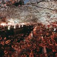 目黒川で夜桜を満喫😚
4月から環境がガラリと変わったけど、目の前にあることをスピーディーかつ丁寧に対応していくのみ。
