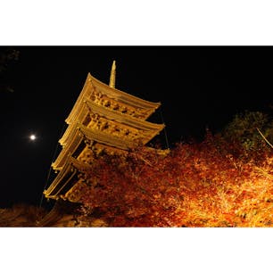 京都:東寺(教王護国寺)