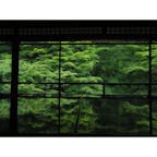 京都祭り:瑠璃光院