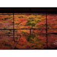 秋の京都:瑠璃光院