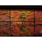 秋の京都:瑠璃光院