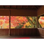 秋の京都:白龍園