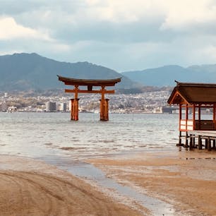 どどーんと佇む鳥居
宮島ええですなー