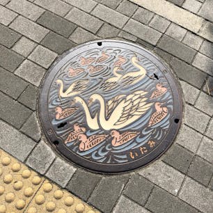伊丹市 マンホール
白鳥  と カモ