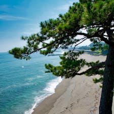 高知の桂浜より西浜望む